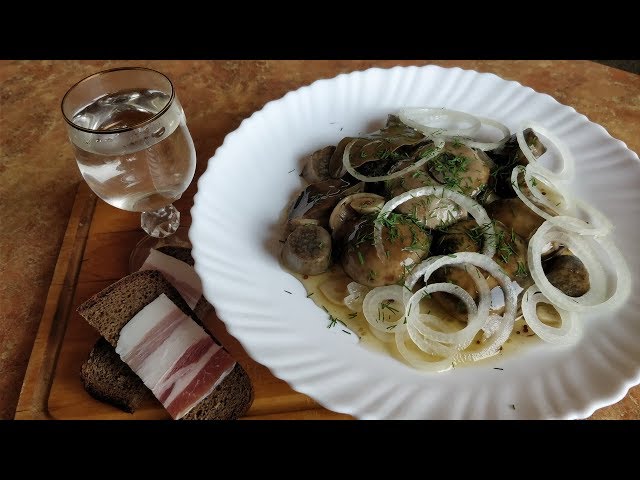 Маринованные подосиновики с уксусом на зиму - «Кулинарные рецепты»