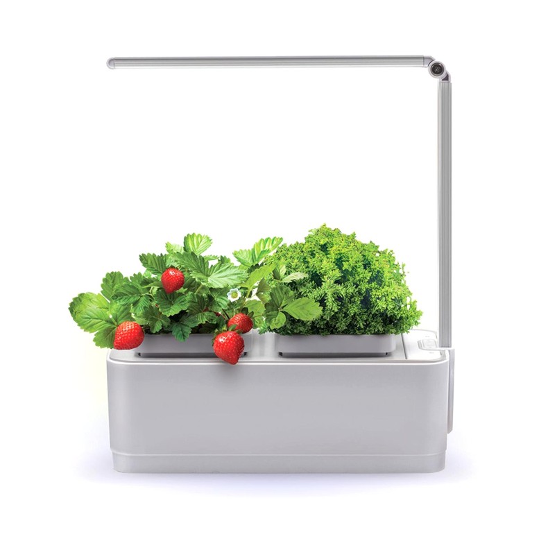 Топ-5 необычных подарков для кухни на Новый год 2026 - «Кулинарные рецепты»