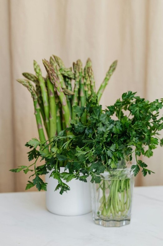 Витамины и свежесть: 5 секретов правильного хранения зелени - «Кулинарные рецепты»